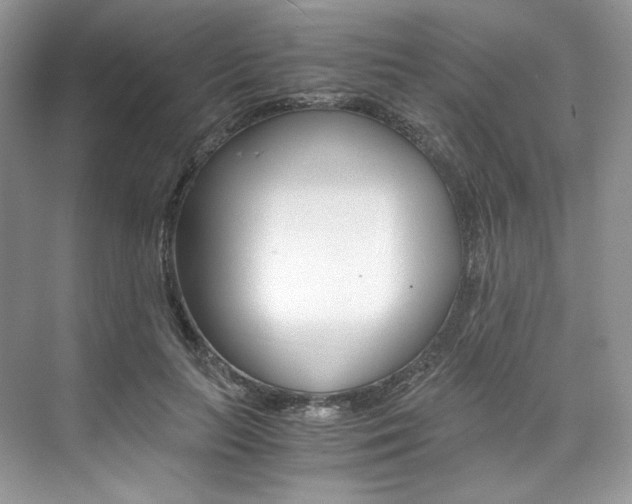 X0000073900647200608110937