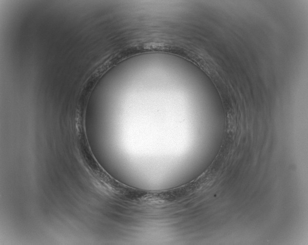 X0000073900648200608110937
