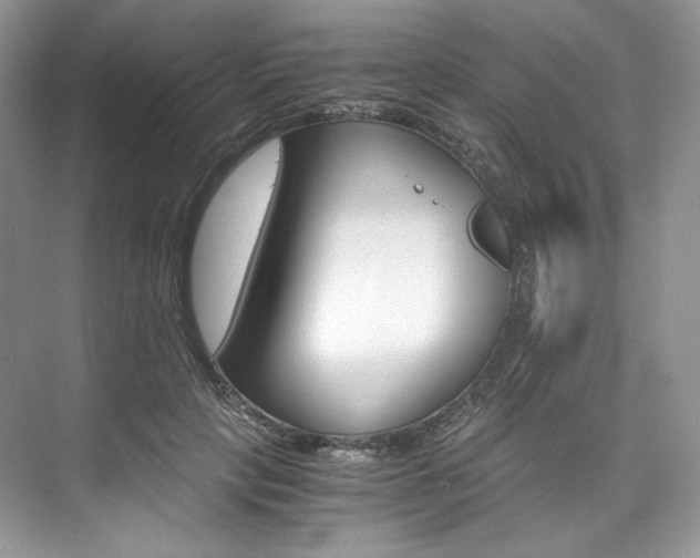 X0000073900649200608110937