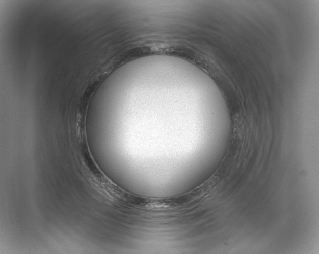 X0000073900650200608110937