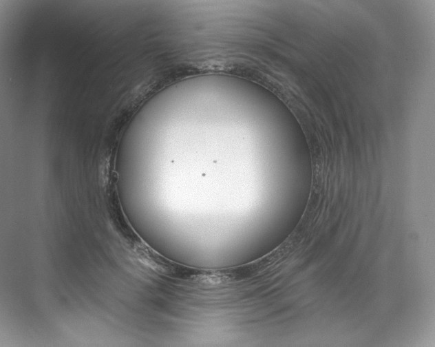 X0000073900652200608110937