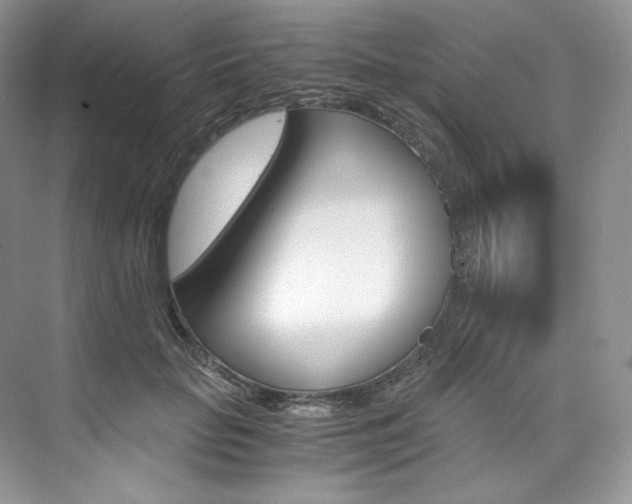 X0000073900653200608110937