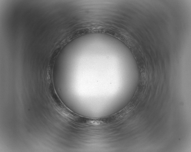 X0000073900654200608110937