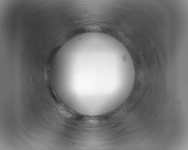 X0000073900658200608110937