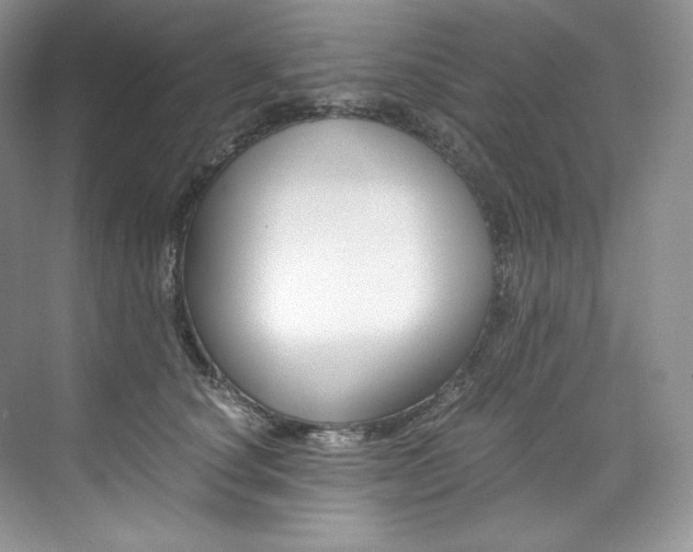 X0000073900660200608110937