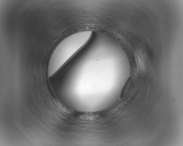 X0000073900661200608110937