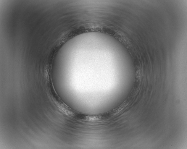 X0000073900662200608110937