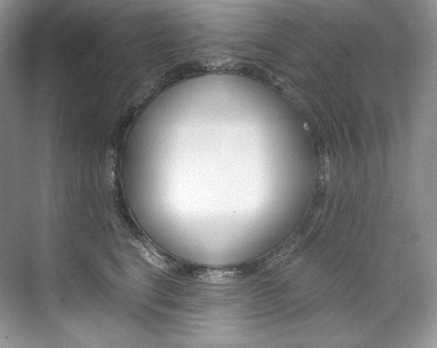 X0000073900664200608110937
