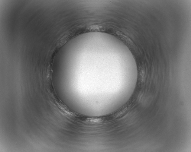 X0000073900665200608110937