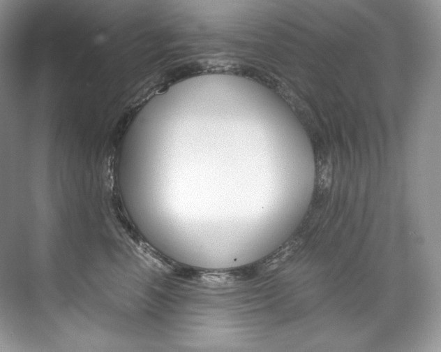 X0000073900666200608110937