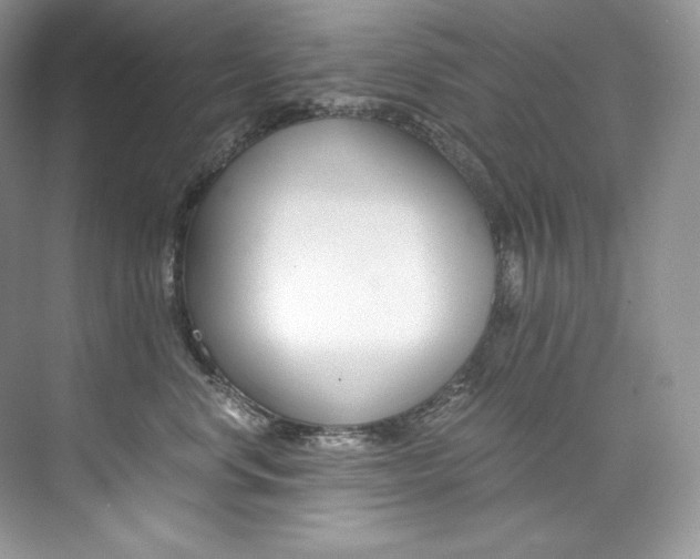 X0000073900668200608110937