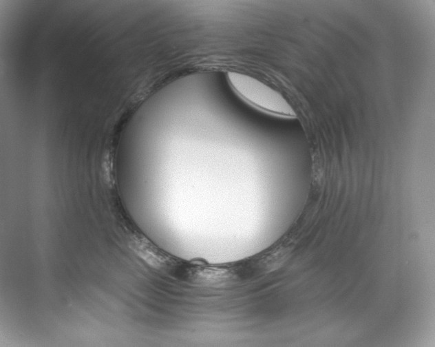 X0000073900669200608110937