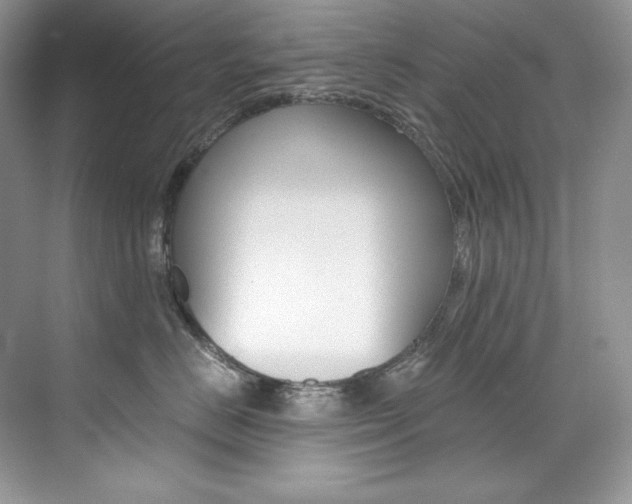 X0000073900670200608110937