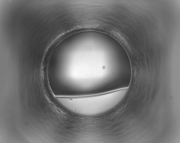 X0000073900676200608110936
