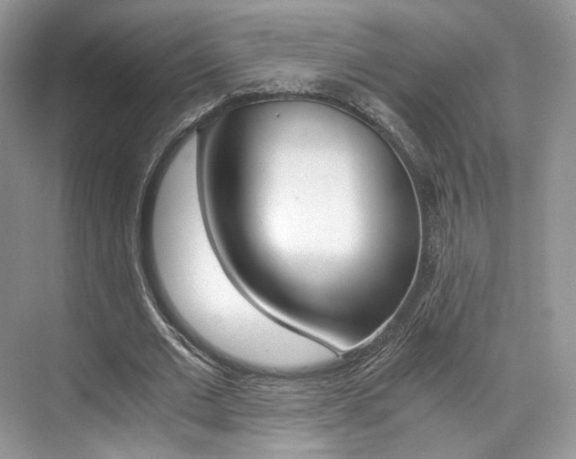 X0000073900677200608110936