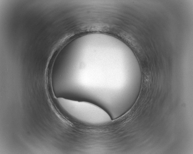 X0000073900678200608110936