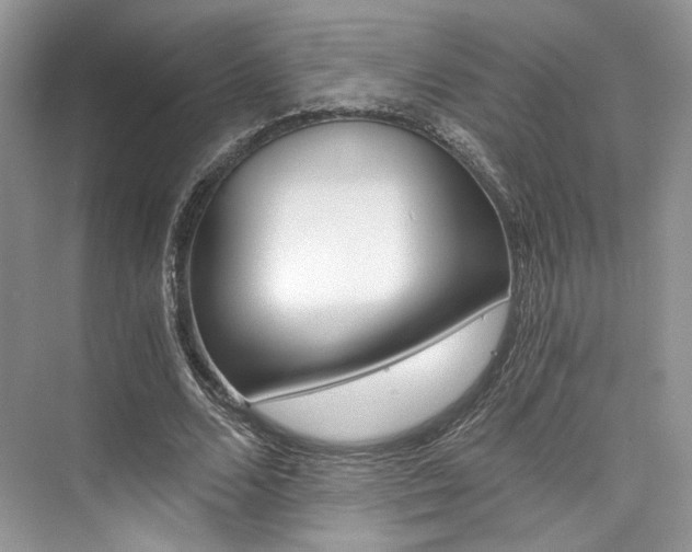 X0000073900680200608110936