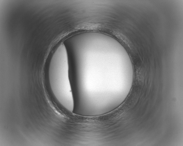 X0000073900682200608110936