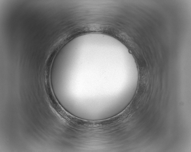 X0000073900683200608110936