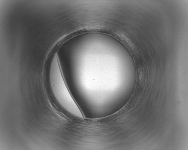 X0000073900684200608110936