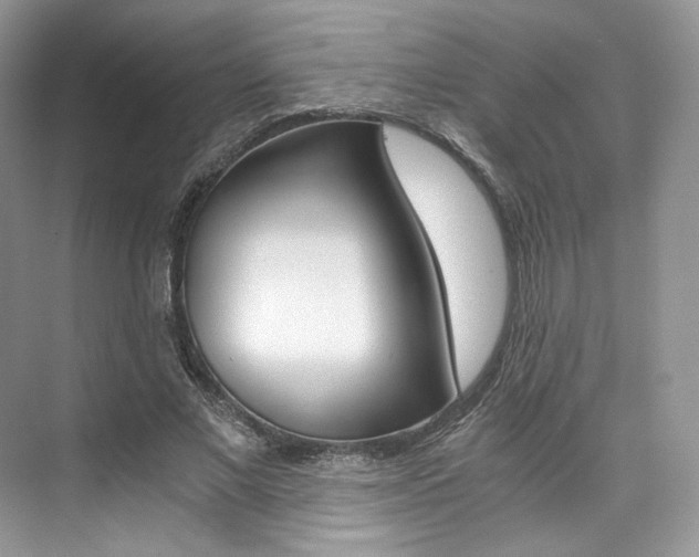 X0000073900685200608110936