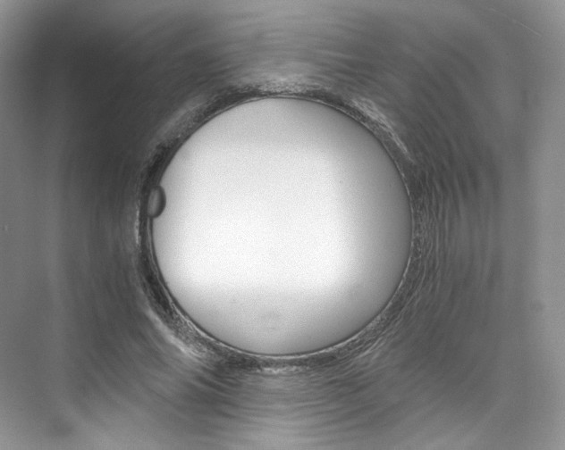 X0000073900686200608110936