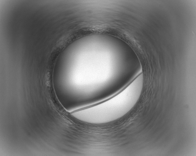 X0000073900689200608110936