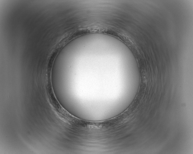 X0000073900690200608110936