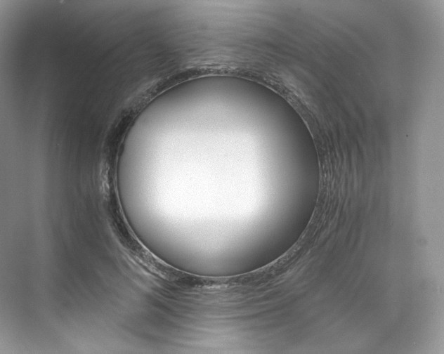X0000073900692200608110936