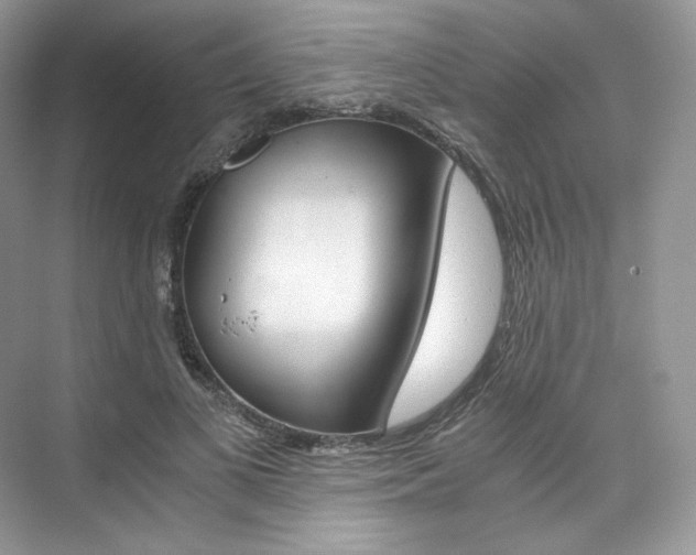 X0000073900693200608110936