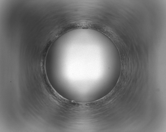 X0000073900696200608110936