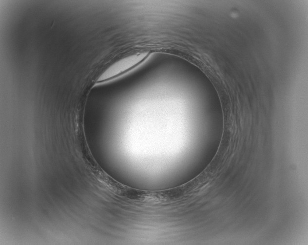 X0000073900697200608110936