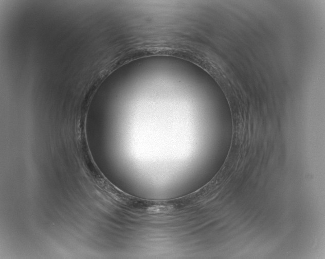 X0000073900700200608110936