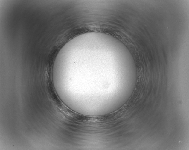 X0000073900702200608110936