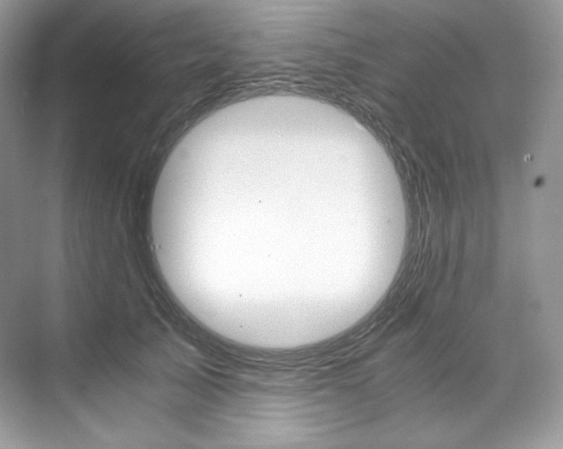X0000073900705200608110936