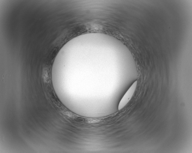 X0000073900709200608110936
