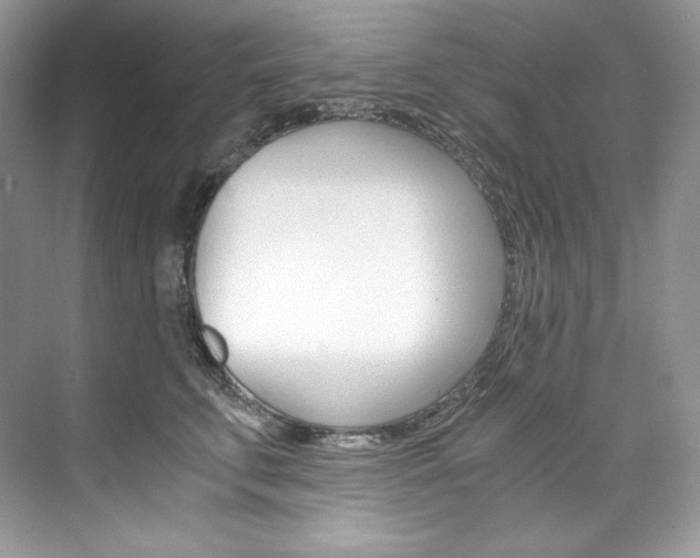 X0000073900711200608110936