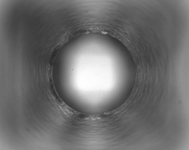 X0000073900712200608110936