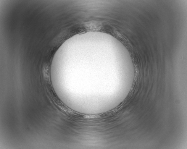 X0000073900713200608110936