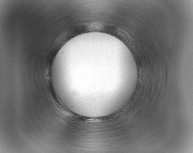 X0000073900714200608110936