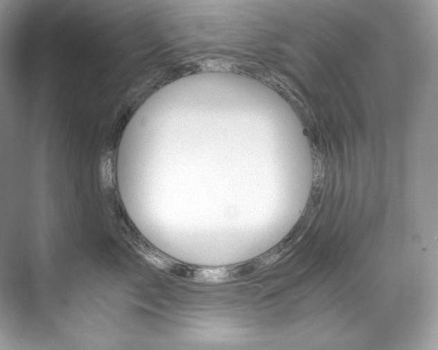 X0000073900717200608110935