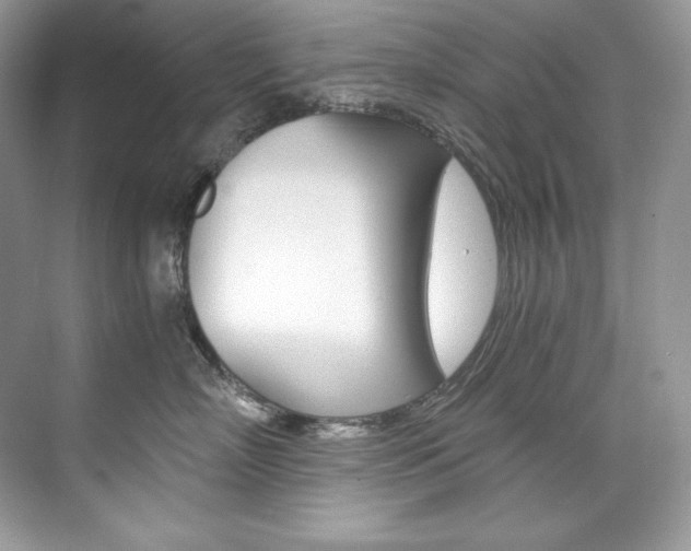 X0000073900718200608110935