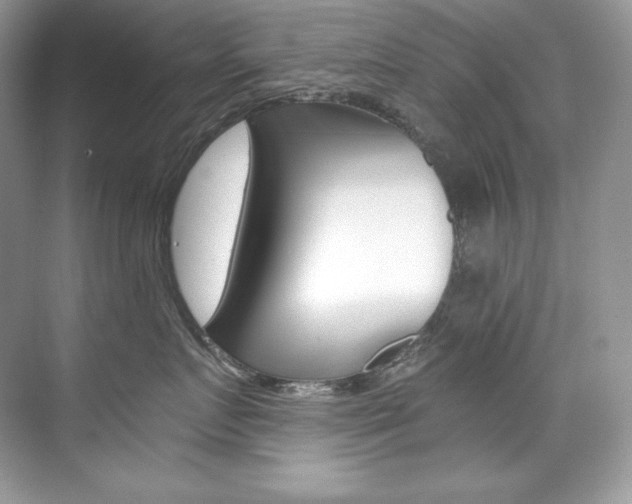 X0000073900719200608110935