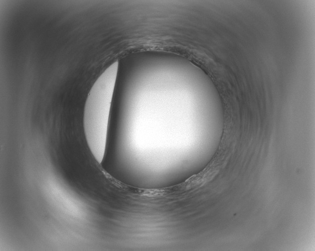 X0000073900720200608110935