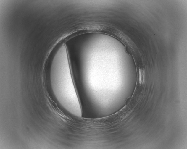 X0000073900723200608110935