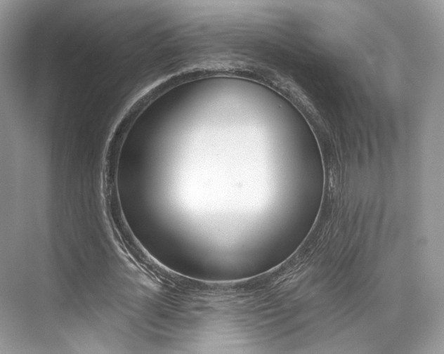 X0000073900724200608110935