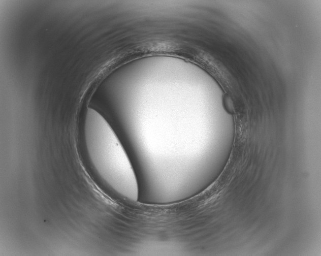 X0000073900725200608110935