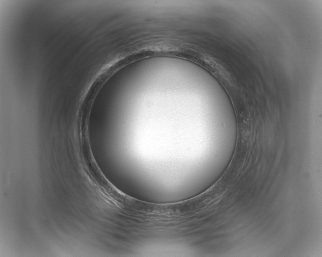 X0000073900727200608110935