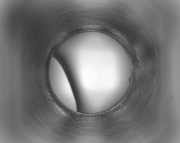 X0000073900729200608110935
