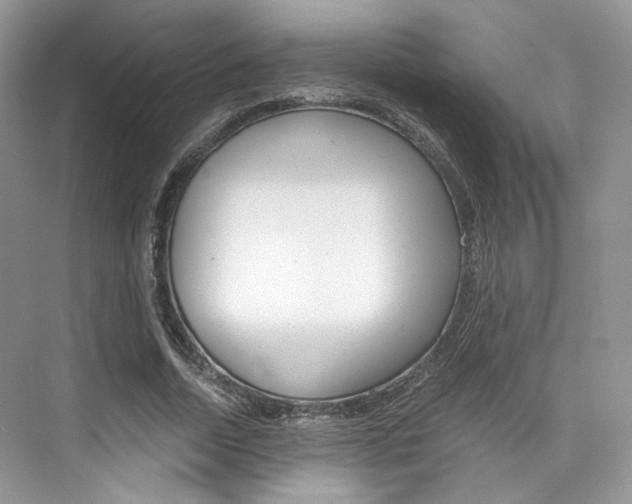 X0000073900730200608110935